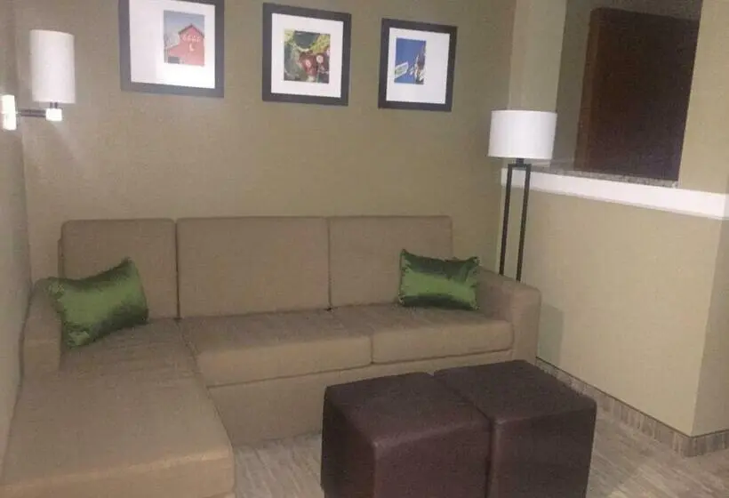 سوئیت با تخت بزرگ, Comfort Suites University