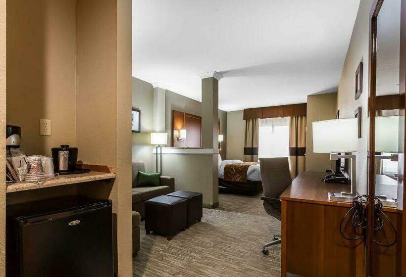 سوئیت با تخت بزرگ, Comfort Suites University