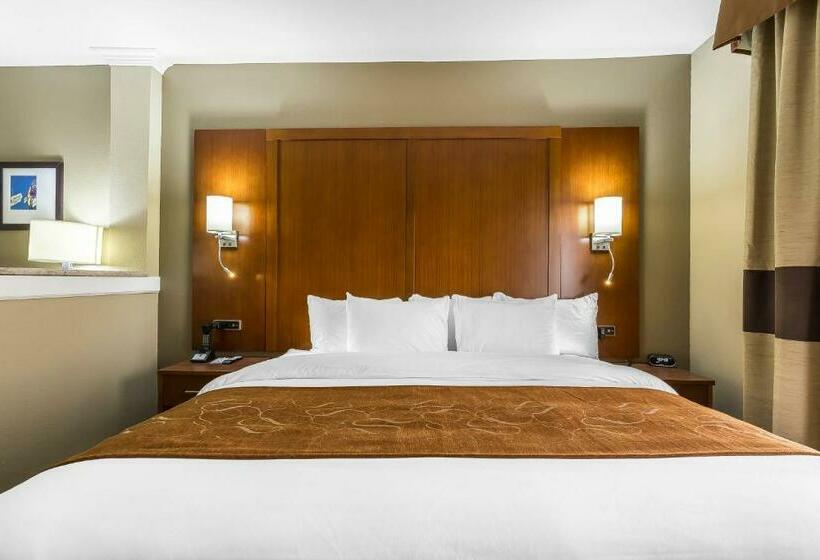 سوئیت با تخت بزرگ, Comfort Suites University