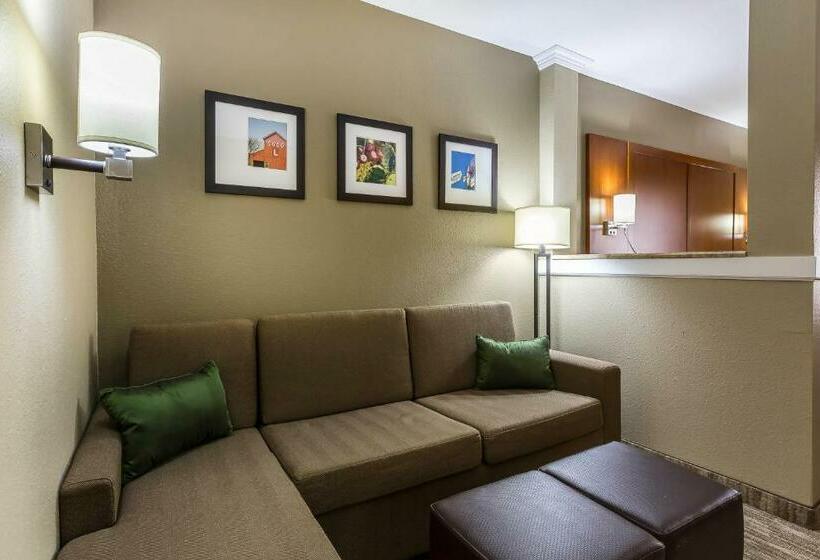 سوییت, Comfort Suites University