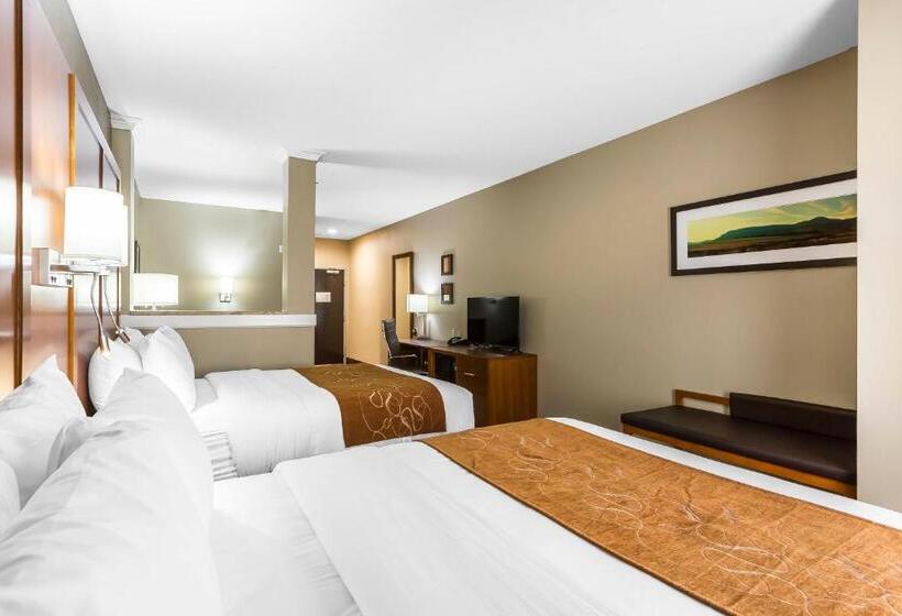 Люкс, Comfort Suites University