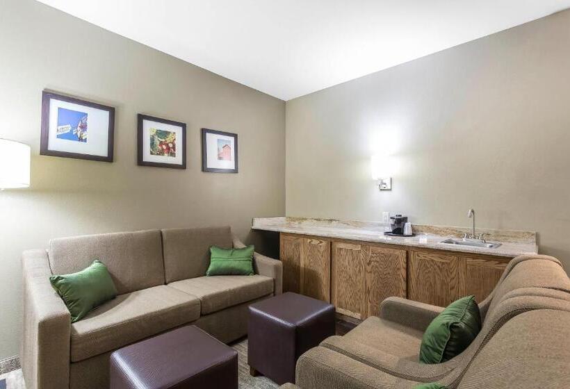 Люкс Адаптированный для Инвалидов, Comfort Suites University