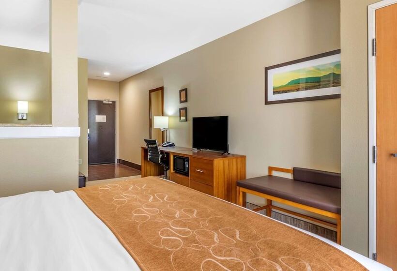 سوییت, Comfort Suites University