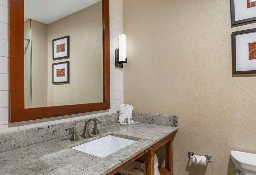 Люкс, Comfort Suites University