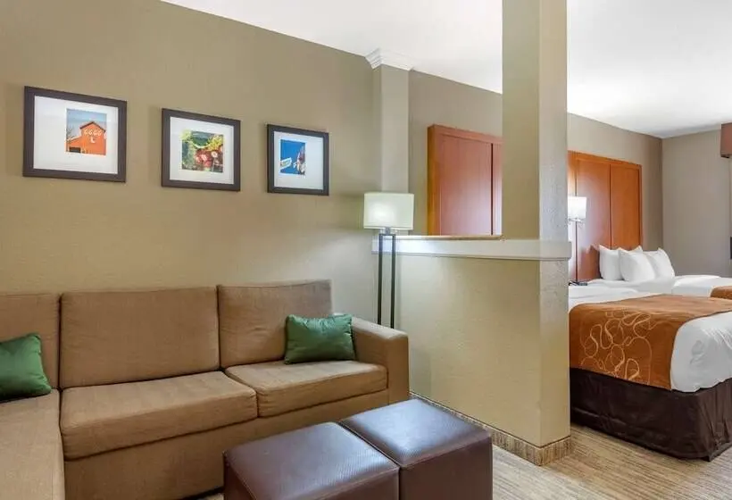 سوییت, Comfort Suites University