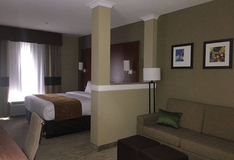 سوئیت برای معلولان, Comfort Suites University