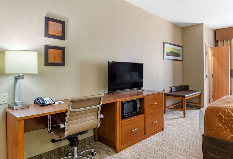 Люкс Адаптированный для Инвалидов, Comfort Suites University