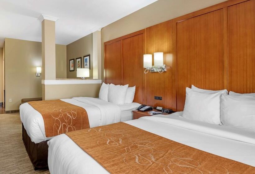 Люкс Адаптированный для Инвалидов, Comfort Suites University