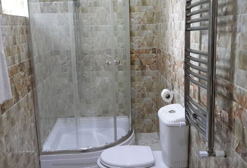 اتاق استاندارد, Edemi