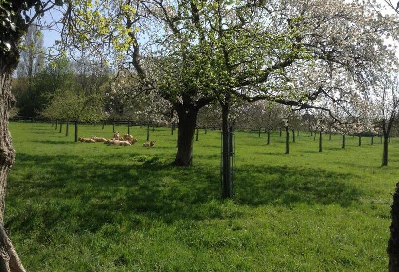 Standard room with outdoor bath, La Maison Du Phare De Honfleur Chambre D Hôtes B&b  Jacuzzi   Shabby Chic