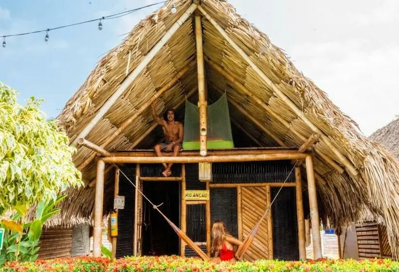 スタンダードルーム, Tiki Hut Hostel