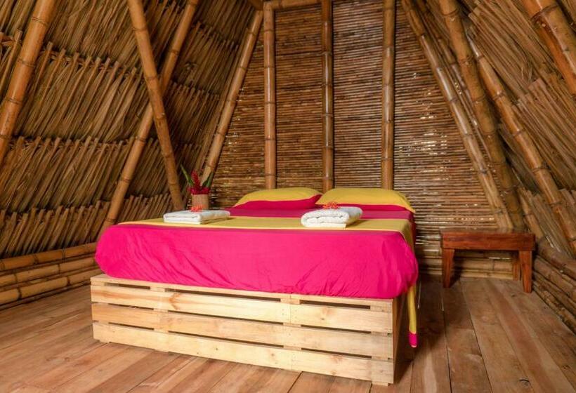 스탠다드 룸 공동 욕실, Tiki Hut Hostel