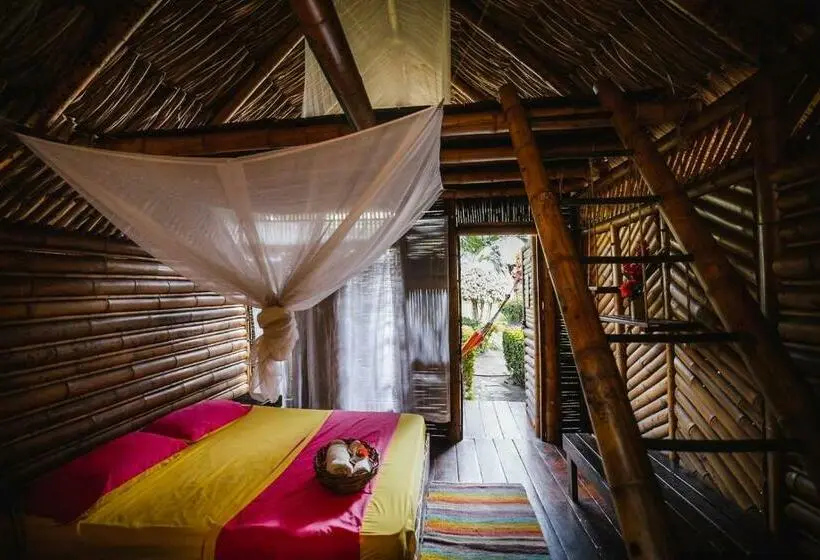 スタンダードルーム, Tiki Hut Hostel