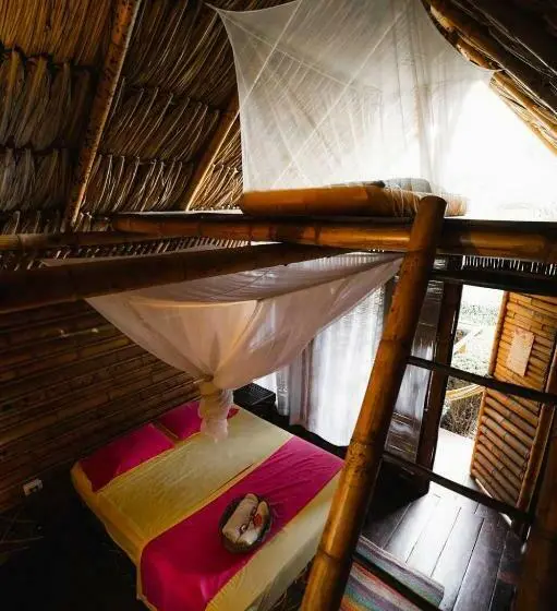 スタンダードルーム, Tiki Hut Hostel