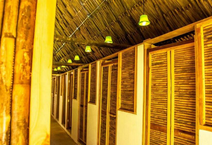 스탠다드 룸 공동 욕실, Tiki Hut Hostel