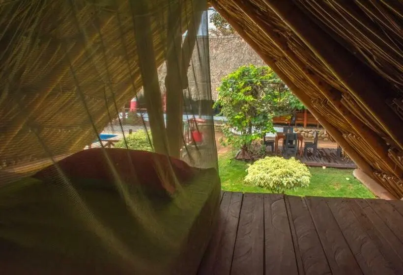 スタンダードルーム, Tiki Hut Hostel