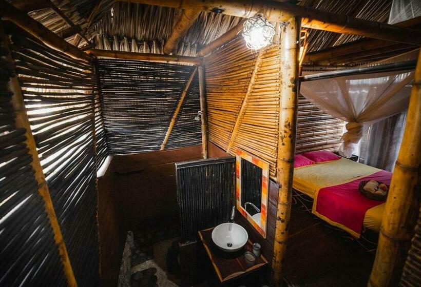 스탠다드 룸, Tiki Hut Hostel