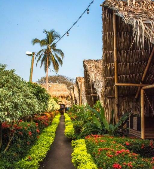 스탠다드 룸, Tiki Hut Hostel