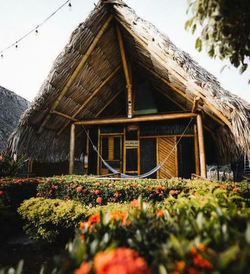 스탠다드 룸, Tiki Hut Hostel