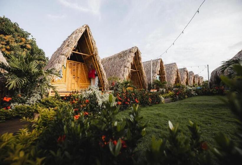 스탠다드 룸 공동 욕실, Tiki Hut Hostel