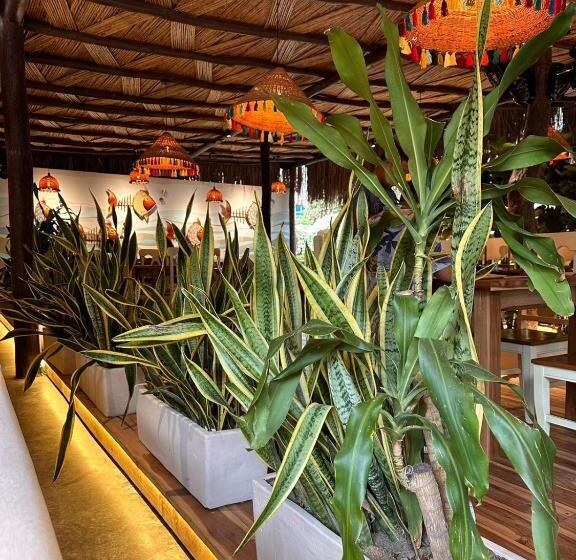 스탠다드 룸 공동 욕실, Tiki Hut Hostel