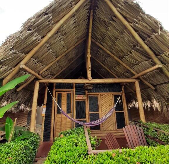 스탠다드 룸, Tiki Hut Hostel