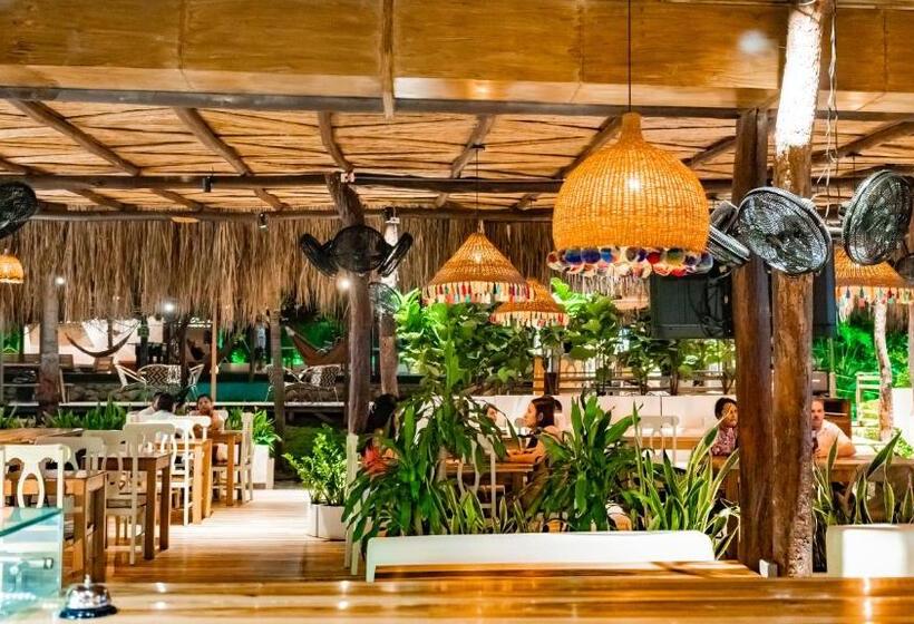 스탠다드 룸, Tiki Hut Hostel