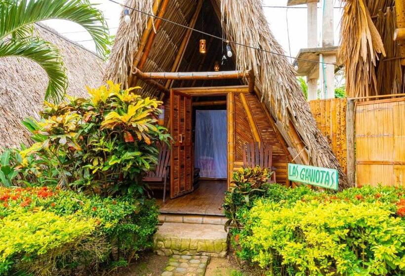 스탠다드 룸 공동 욕실, Tiki Hut Hostel