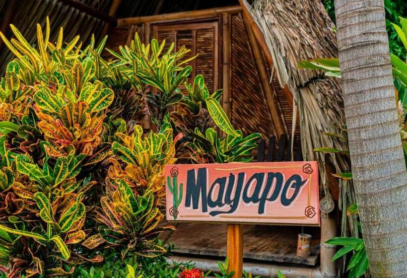 스탠다드 룸 공동 욕실, Tiki Hut Hostel