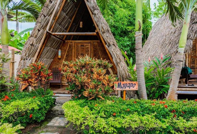 스탠다드 룸 공동 욕실, Tiki Hut Hostel