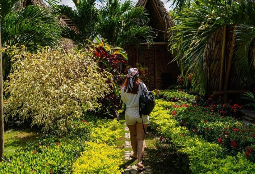 스탠다드 룸 공동 욕실, Tiki Hut Hostel