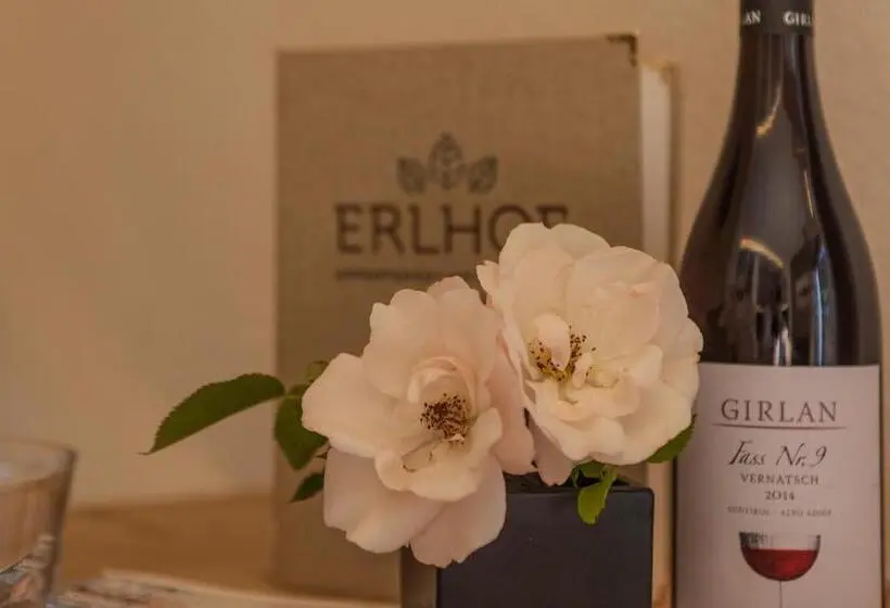 １階の１ベッドルームアパートメント, Appartement Hotel Erlhof Deluxe