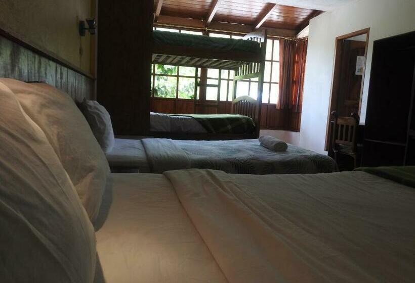 اتاق خانوادگی, Biohostal Mindo Cloud Forest