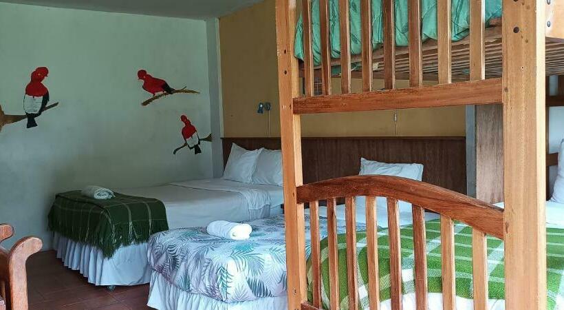 اتاق خانوادگی, Biohostal Mindo Cloud Forest