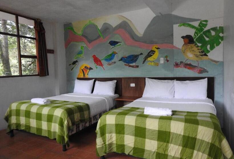 اتاق استاندارد, Biohostal Mindo Cloud Forest