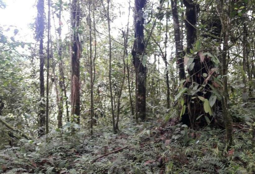 Номер Классический Вид на Город, Biohostal Mindo Cloud Forest