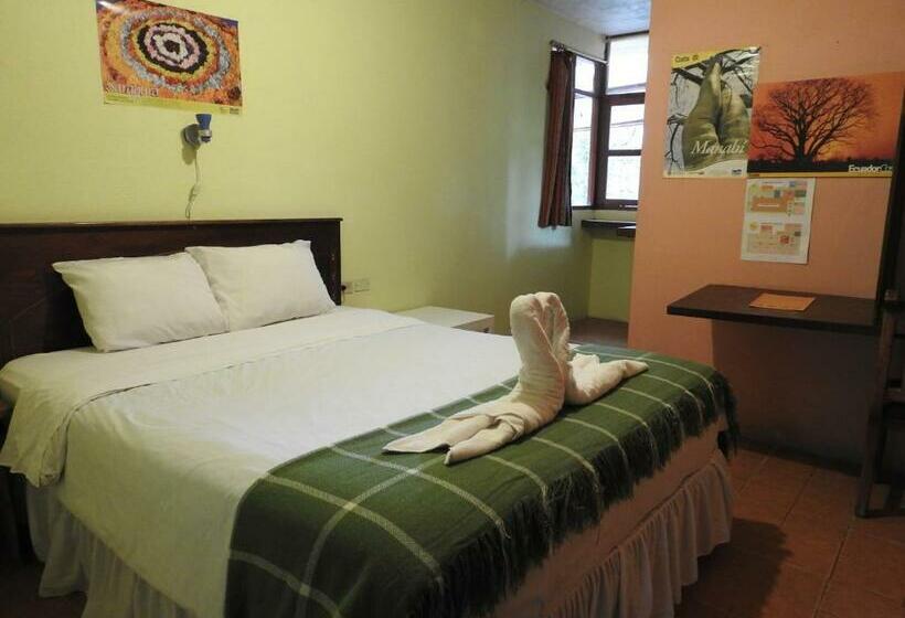 اتاق استاندارد یک نفره, Biohostal Mindo Cloud Forest