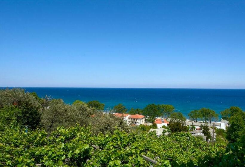 غرفة قياسية ثلاثية, Agnadi   Horefto