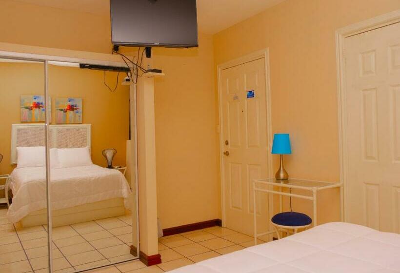 غرفة ديلوكس, Bamboo Aeropuerto