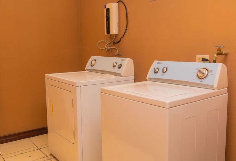 غرفة ديلوكس, Bamboo Aeropuerto