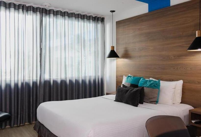 Quarto Estandar, Blue Concept