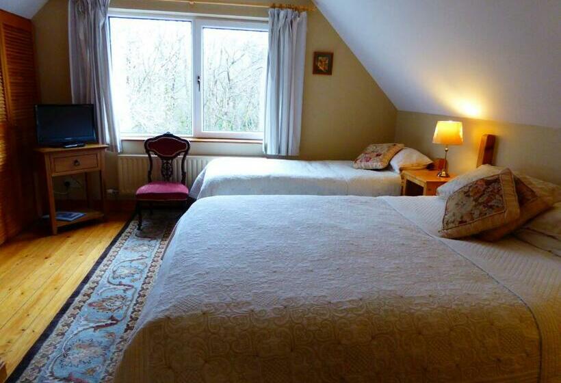 컴포트 트리플 룸, Camillaun Lodge With Lough Corrib Boat Hire