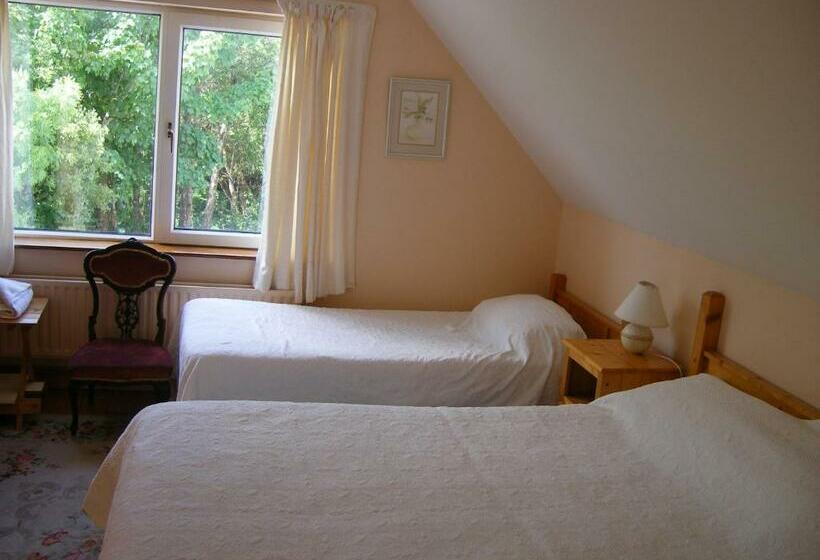 舒适三人间, Camillaun Lodge With Lough Corrib Boat Hire