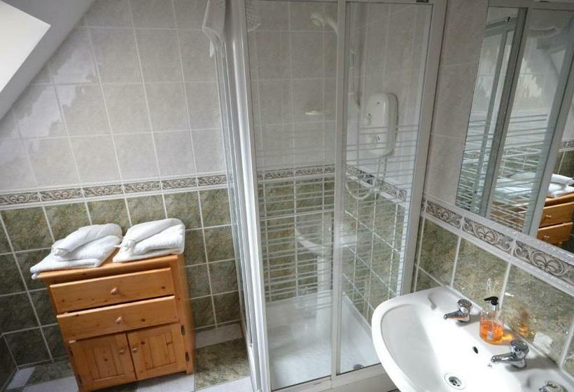 舒适三人间, Camillaun Lodge With Lough Corrib Boat Hire