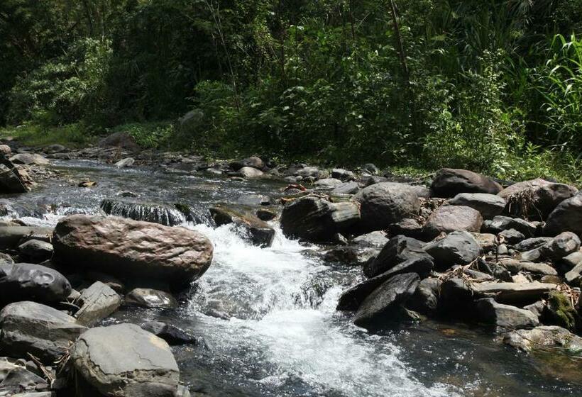 스탠다드 룸, La Selva Reserva