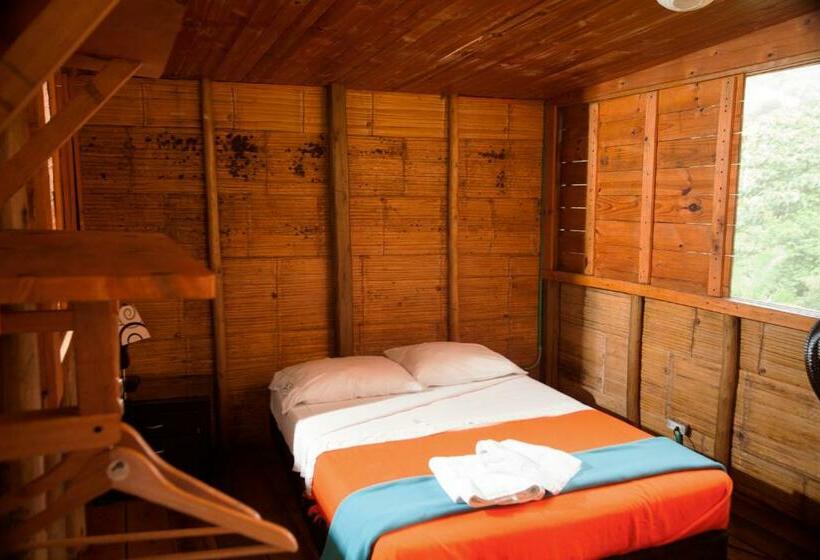 스탠다드 룸, La Selva Reserva