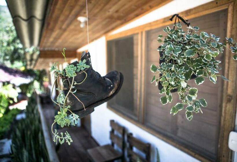 스탠다드 룸, La Selva Reserva