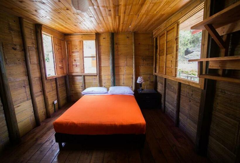 스탠다드 룸, La Selva Reserva