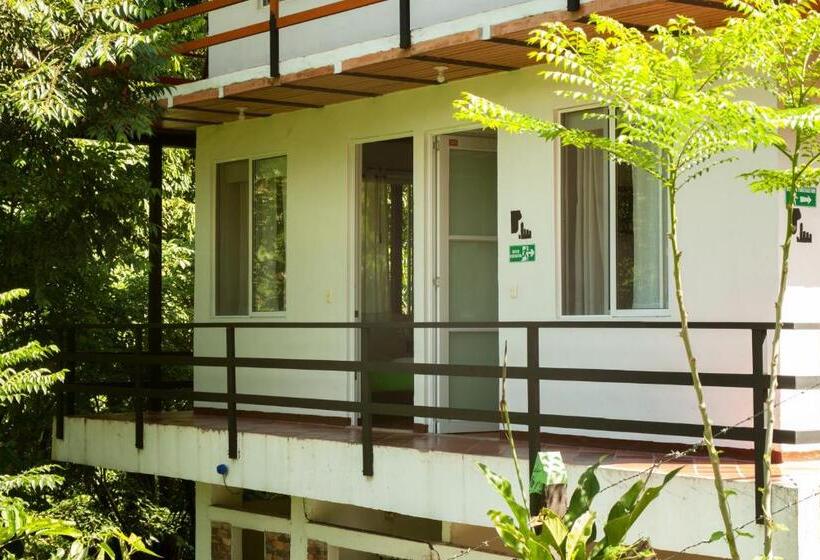 스탠다드 룸, La Selva Reserva