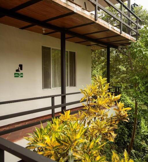 패밀리 룸 산 전망, La Selva Reserva